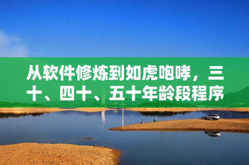從軟件修煉到如虎咆哮，三十、四十、五十年齡段程序員之路