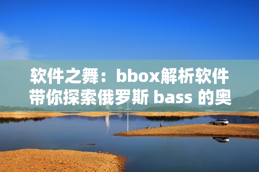 軟件之舞：bbox解析軟件帶你探索俄羅斯 bass 的奧秘