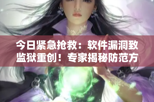 今日緊急搶救：軟件漏洞致監(jiān)獄重創(chuàng)！專家揭秘防范方法