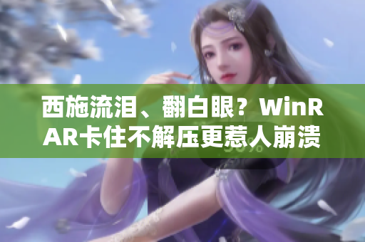 西施流淚、翻白眼？WinRAR卡住不解壓更惹人崩潰！