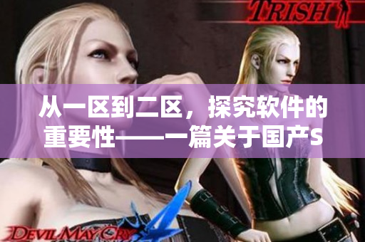 從一區(qū)到二區(qū)，探究軟件的重要性——一篇關(guān)于國產(chǎn)SUV精品的編寫故事