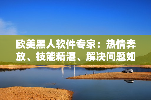 歐美黑人軟件專(zhuān)家：熱情奔放、技能精湛、解決問(wèn)題如探囊取物