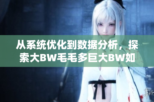 從系統(tǒng)優(yōu)化到數(shù)據(jù)分析，探索大BW毛毛多巨大BW如何提升軟件性能