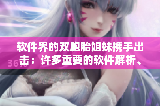 軟件界的雙胞胎姐妹攜手出擊：許多重要的軟件解析、評測數(shù)據(jù)一網(wǎng)打盡