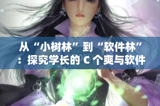 從“小樹(shù)林”到“軟件林”：探究學(xué)長(zhǎng)的 C 個(gè)爽與軟件創(chuàng)新之間的聯(lián)系