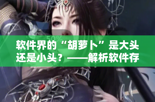 軟件界的“胡蘿卜”是大頭還是小頭？——解析軟件存儲類型的爭議