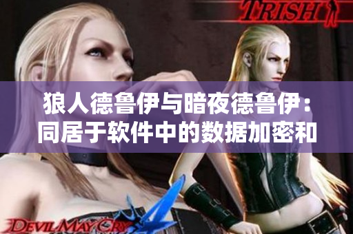 狼人德魯伊與暗夜德魯伊：同居于軟件中的數(shù)據(jù)加密和解密技術(shù)
