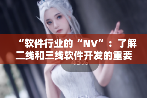 “軟件行業(yè)的“NV”：了解二線和三線軟件開發(fā)的重要性”