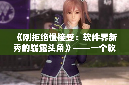 《剛拒絕慢接受：軟件界新秀的嶄露頭角》——一個軟件創(chuàng)新公司的成長歷程