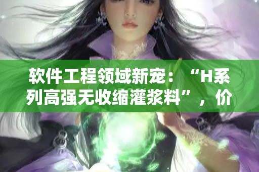 軟件工程領域新寵：“H系列高強無收縮灌漿料”，價格及功能分析！