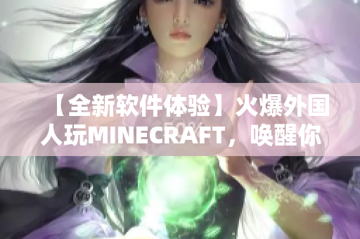 【全新軟件體驗】火爆外國人玩MINECRAFT，喚醒你的探險欲望！