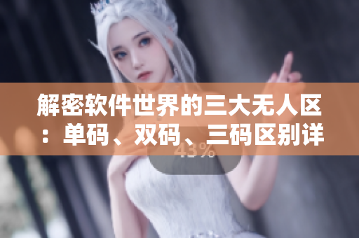 解密軟件世界的三大無人區(qū)：單碼、雙碼、三碼區(qū)別詳解