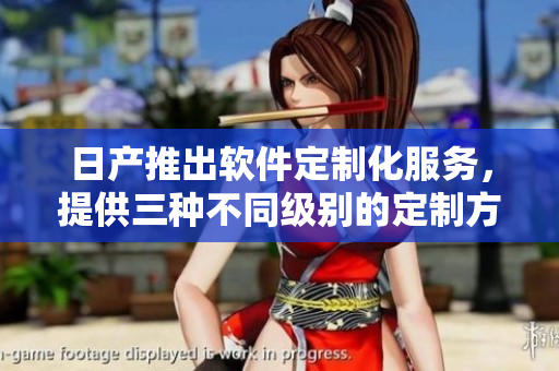日產(chǎn)推出軟件定制化服務(wù)，提供三種不同級別的定制方案