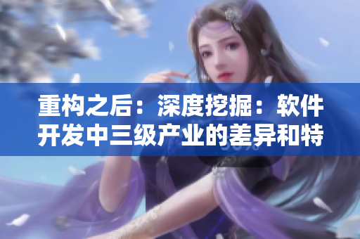 重構(gòu)之后：深度挖掘：軟件開發(fā)中三級產(chǎn)業(yè)的差異和特點