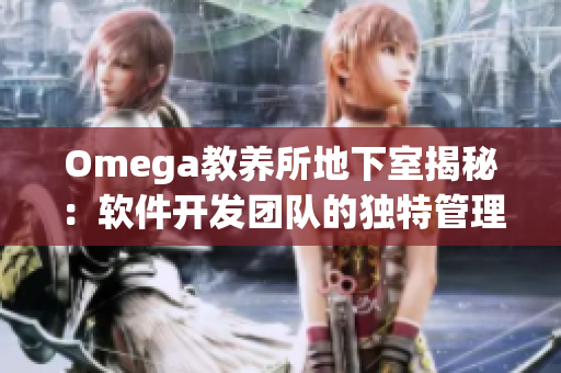 Omega教養(yǎng)所地下室揭秘：軟件開發(fā)團隊的獨特管理之道
