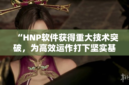 “HNP軟件獲得重大技術(shù)突破，為高效運作打下堅實基礎(chǔ)！”