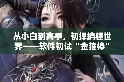 從小白到高手，初探編程世界——軟件初試“金箍棒”