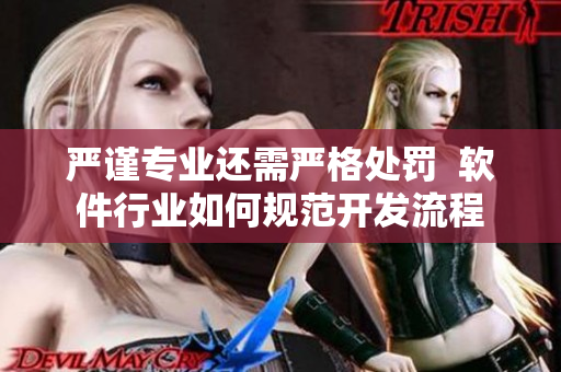 嚴謹專業(yè)還需嚴格處罰  軟件行業(yè)如何規(guī)范開發(fā)流程