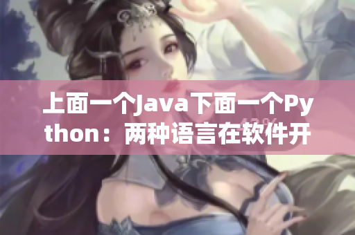 上面一個(gè)Java下面一個(gè)Python：兩種語言在軟件開發(fā)中的優(yōu)缺點(diǎn)對(duì)比