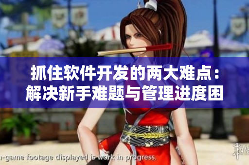 抓住軟件開(kāi)發(fā)的兩大難點(diǎn)：解決新手難題與管理進(jìn)度困局