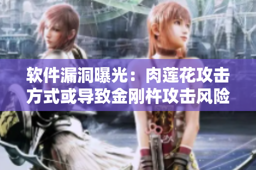 軟件漏洞曝光：肉蓮花攻擊方式或?qū)е陆饎傝乒麸L(fēng)險(xiǎn)增加
