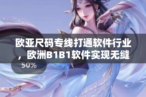 歐亞尺碼專線打通軟件行業(yè)，歐洲B1B1軟件實現(xiàn)無縫對接！