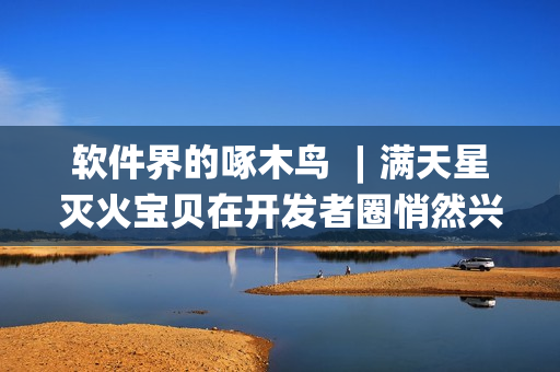 軟件界的啄木鳥 ︱滿天星滅火寶貝在開發(fā)者圈悄然興起！