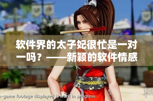 軟件界的太子妃很忙是一對(duì)一嗎？——新穎的軟件情感劇熱爆中!