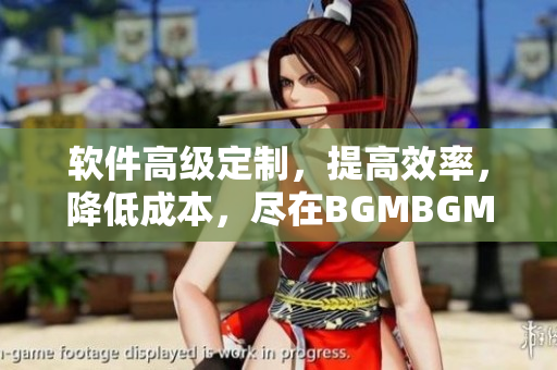 軟件高級定制，提高效率，降低成本，盡在BGMBGMBGM