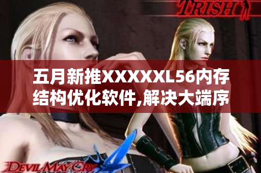 五月新推XXXXXL56內(nèi)存結(jié)構(gòu)優(yōu)化軟件,解決大端序列問題