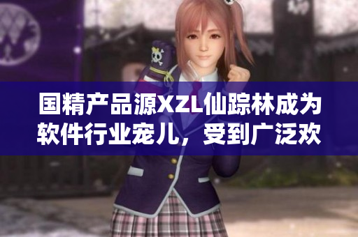 國精產(chǎn)品源XZL仙蹤林成為軟件行業(yè)寵兒，受到廣泛歡迎的秘訣是什么？