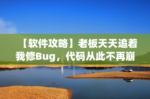 【軟件攻略】老板天天追著我修Bug，代碼從此不再崩潰