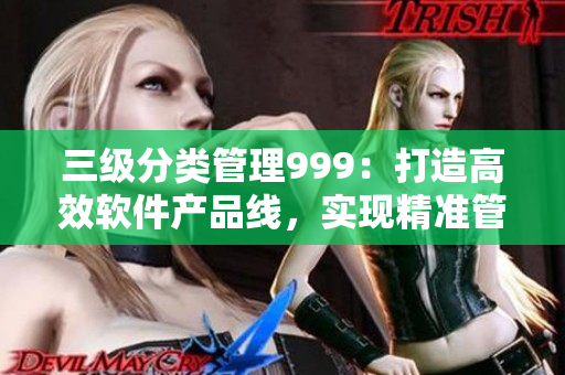 三級分類管理999：打造高效軟件產(chǎn)品線，實(shí)現(xiàn)精準(zhǔn)管理