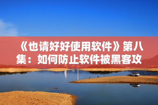 《也請(qǐng)好好使用軟件》第八集：如何防止軟件被黑客攻擊？