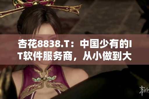 杏花8838.T：中國少有的IT軟件服務(wù)商，從小做到大