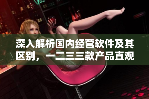 深入解析國內(nèi)經(jīng)營軟件及其區(qū)別，一二三三款產(chǎn)品直觀對(duì)比