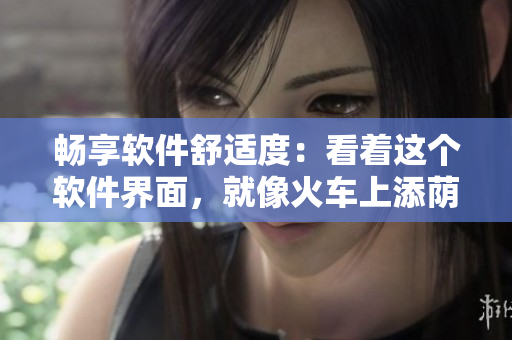 暢享軟件舒適度：看著這個(gè)軟件界面，就像火車上添蔭蒂一樣舒服！