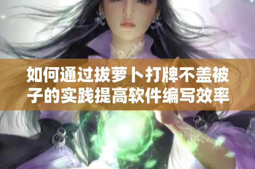 如何通過拔蘿卜打牌不蓋被子的實(shí)踐提高軟件編寫效率？