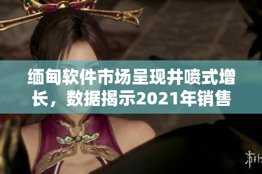 緬甸軟件市場呈現(xiàn)井噴式增長，數(shù)據揭示2021年銷售額破紀錄