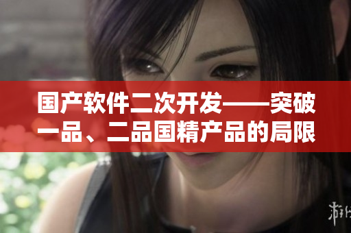 國產(chǎn)軟件二次開發(fā)——突破一品、二品國精產(chǎn)品的局限性