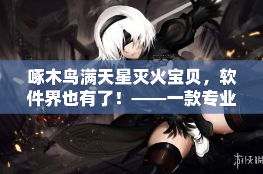 啄木鳥滿天星滅火寶貝，軟件界也有了！——一款專業(yè)的防火墻軟件