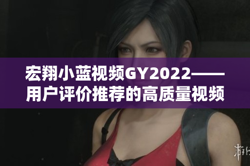 宏翔小藍視頻GY2022——用戶評價推薦的高質量視頻播放軟件