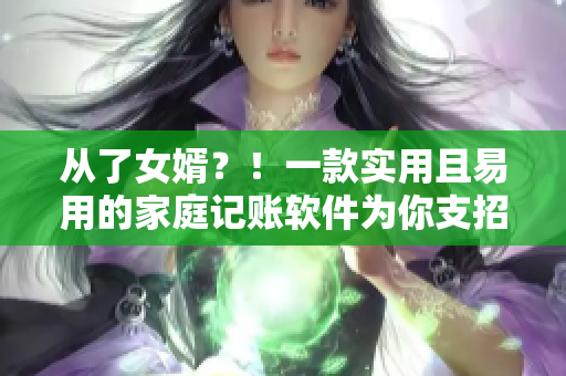 從了女婿？！一款實用且易用的家庭記賬軟件為你支招
