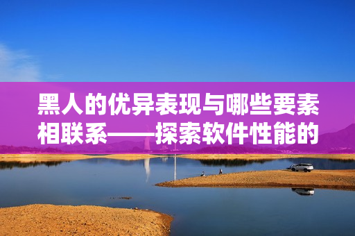 黑人的優(yōu)異表現(xiàn)與哪些要素相聯(lián)系——探索軟件性能的背后故事