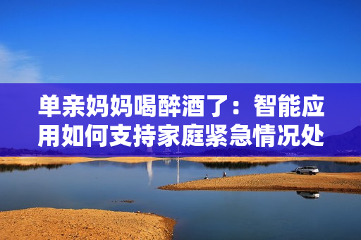 單親媽媽喝醉酒了：智能應用如何支持家庭緊急情況處理？