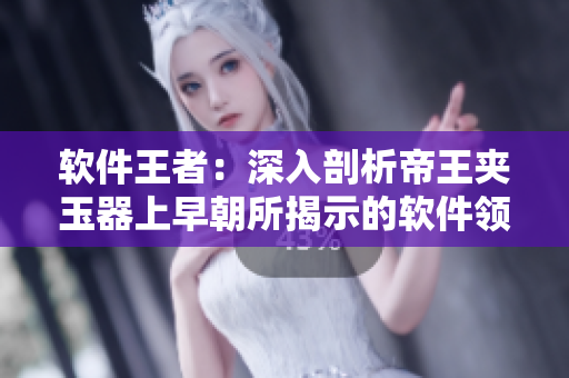 軟件王者：深入剖析帝王夾玉器上早朝所揭示的軟件領(lǐng)域權(quán)威性