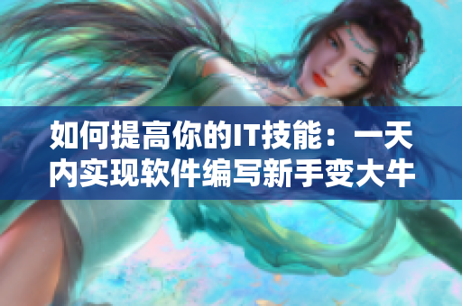 如何提高你的IT技能：一天內(nèi)實現(xiàn)軟件編寫新手變大牛