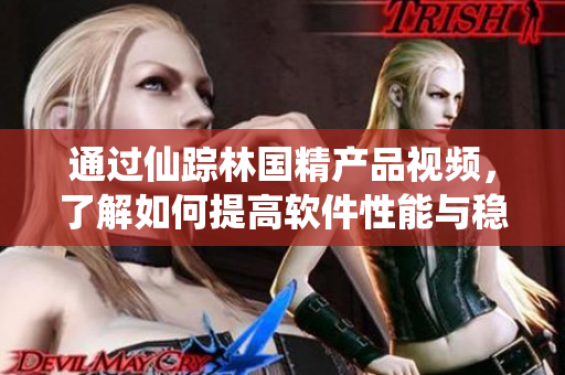通過仙蹤林國精產(chǎn)品視頻，了解如何提高軟件性能與穩(wěn)定性