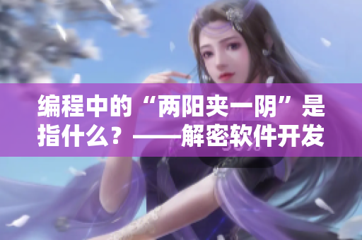 編程中的“兩陽夾一陰”是指什么？——解密軟件開發(fā)中的常見問題