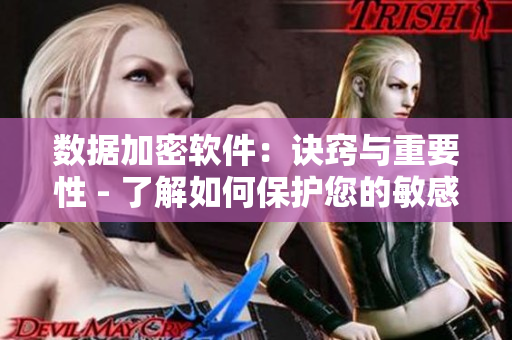 數(shù)據(jù)加密軟件：訣竅與重要性 - 了解如何保護(hù)您的敏感數(shù)據(jù)。